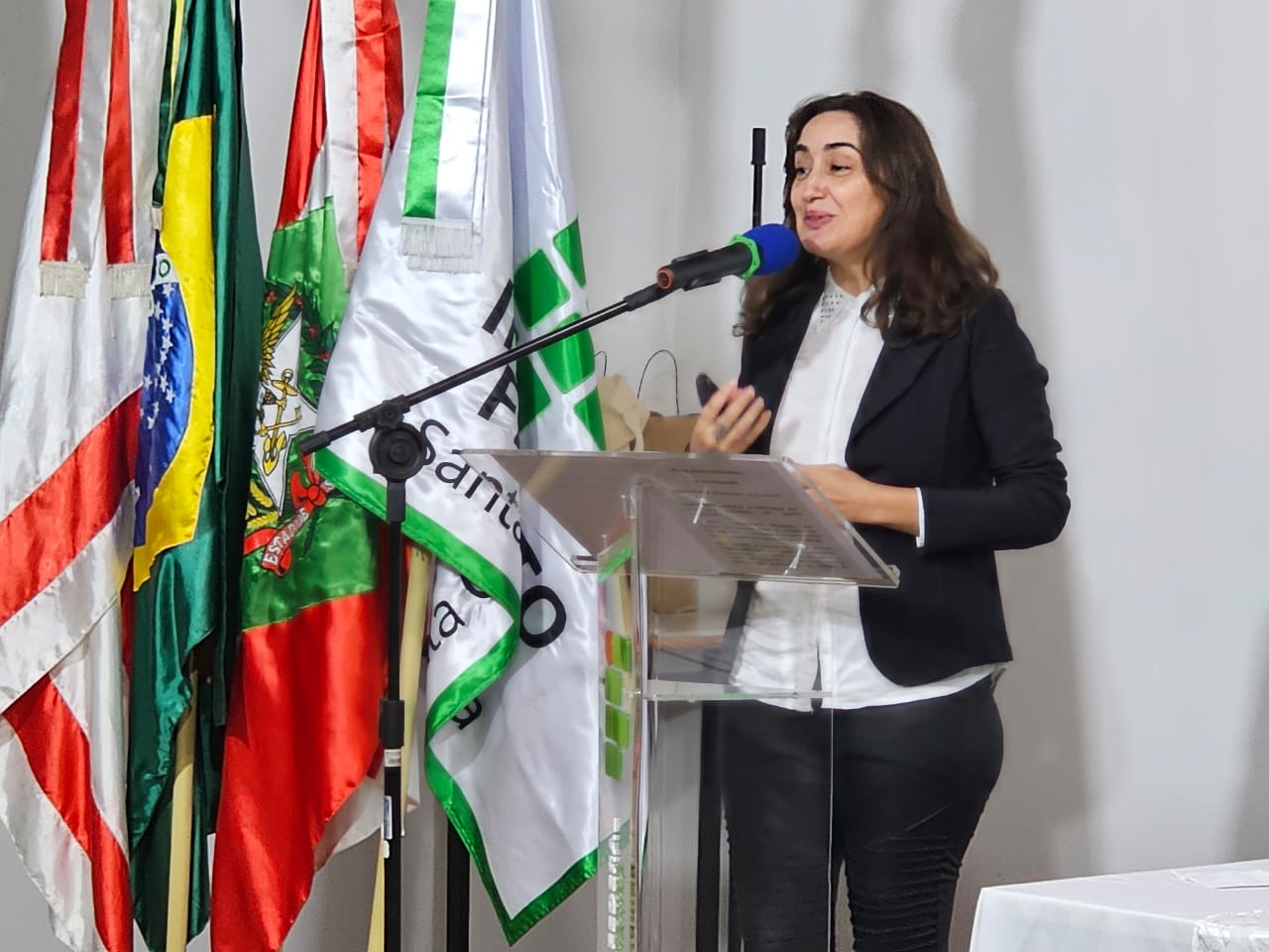 Professora Williana Angelo da Silva, do Instituto Federal de São Paulo, ministrou a palestra de abertura