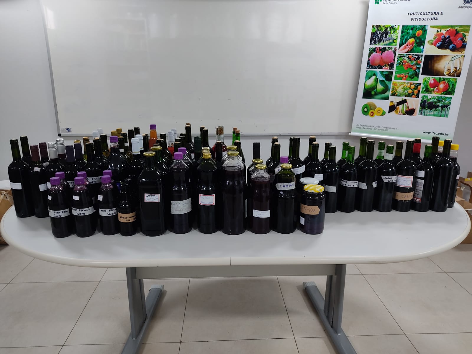 Concurso recebeu amostras de suco de uva, vinho tinto, vinho branco e vinho rosé